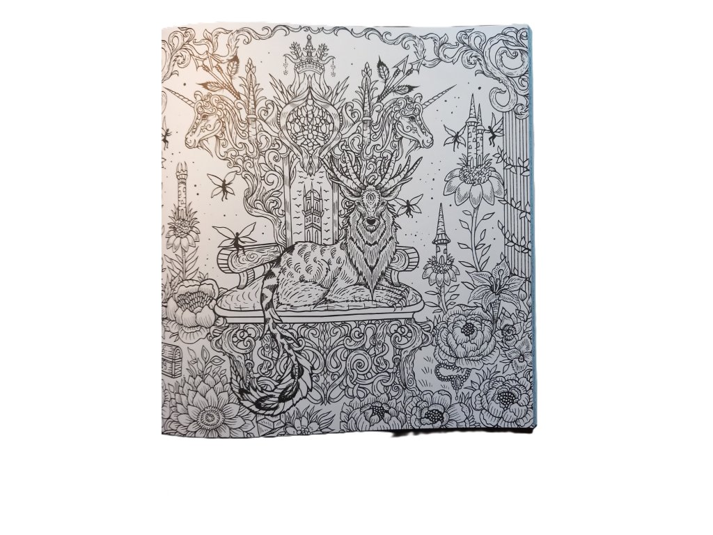 Deam Voyage: A Fantasy Colouring Journey